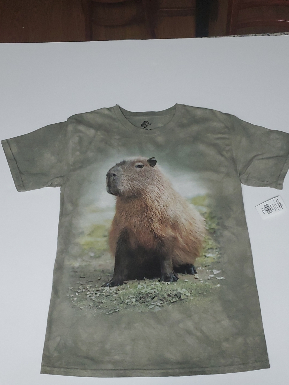 The Mountain Sage Green Capybara Graphic Tee - Short Sleeve